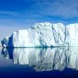 Доклад антарктида Чем знаменита антарктида